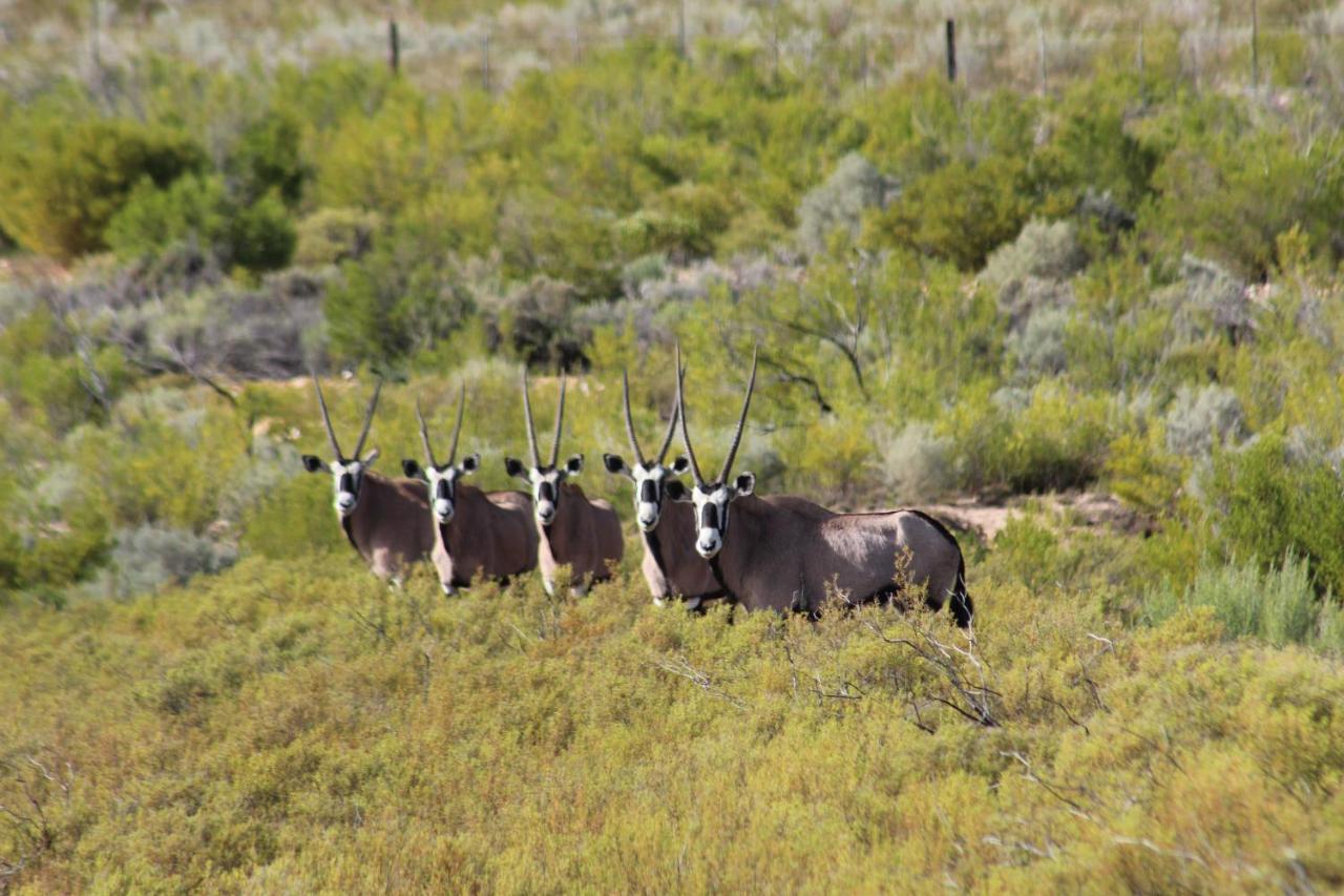 Breathe * Oudtshoorn
